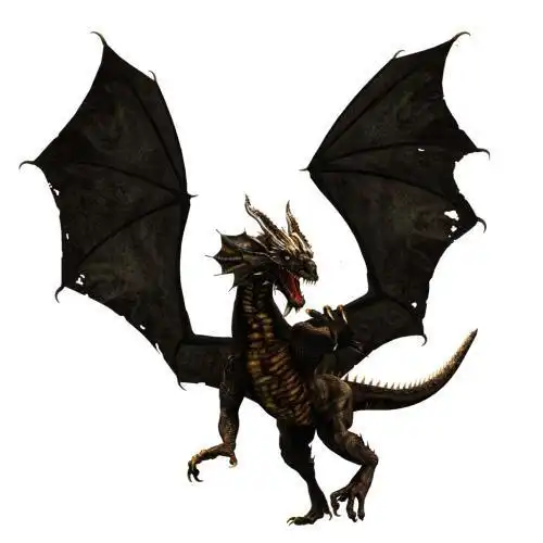 飞龙翅膀简笔画