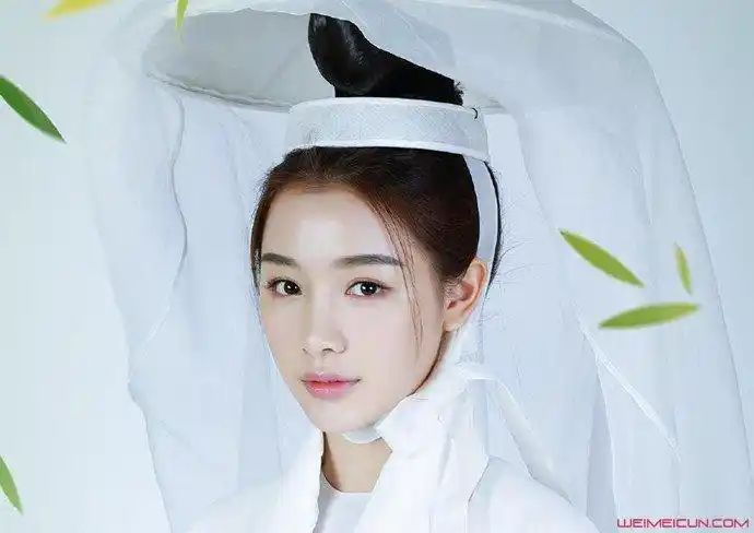 此后还主演了《一见不倾心》,《凤囚凰》,《皓镧传》以及《画心师》等