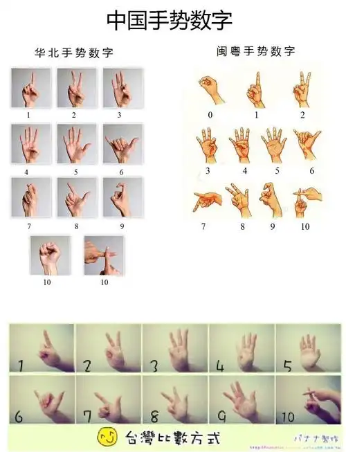 p>数字手势是中国人使用一只手的手势来象征从一到十的数字的一种