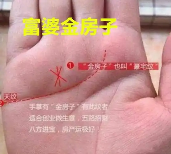 古有金屋藏娇,今有金房子出富婆,30岁后定富贵_手相