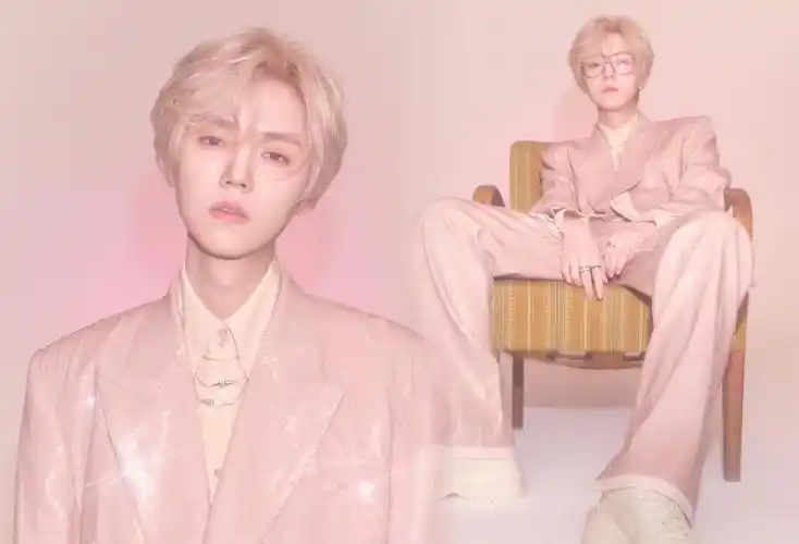 我真的会爱小粉一万年 这个造型封神好吧#鹿晗 #饭制周边 #鹿晗粉色