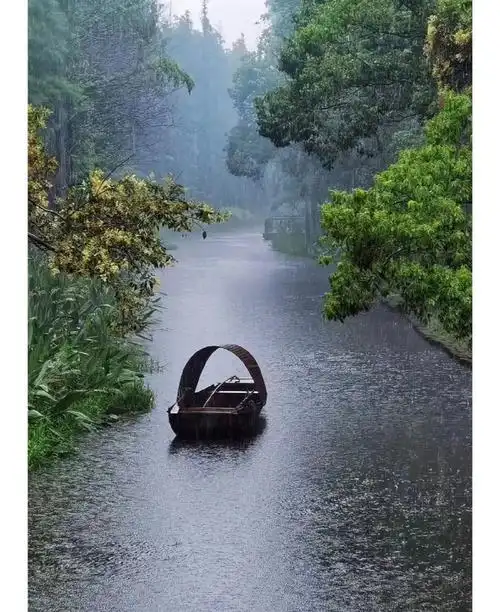 被桥下雨景惊艳到了