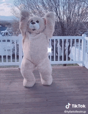 新晋表情包tiktok圈粉百万网友原来你是这样的熊熊