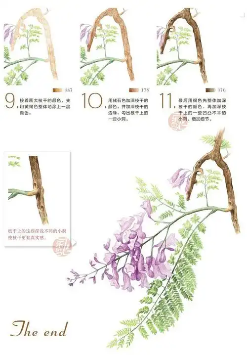 蓝花楹植物彩铅素描绘画图文教程-6