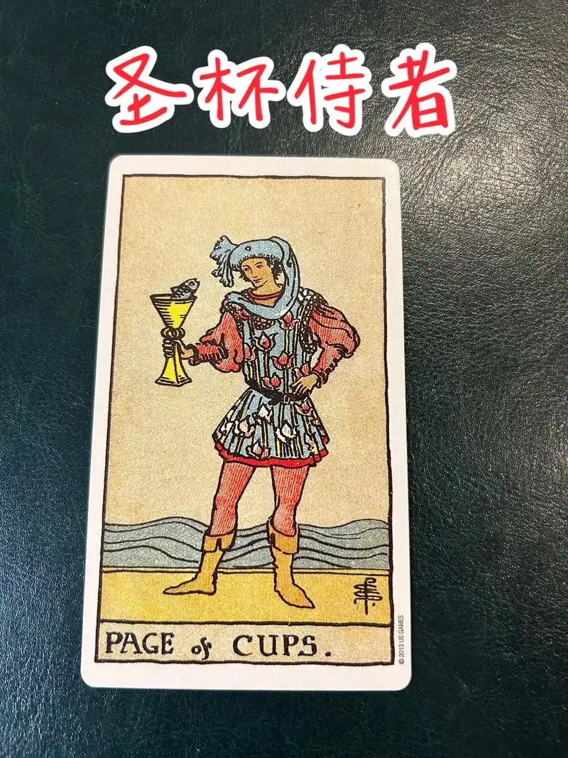 圣杯侍者.78张塔罗牌之40 水元素-圣杯侍从96  正位: - 抖音