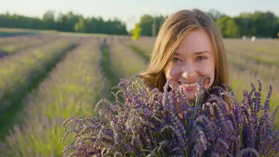 【4k】美女薰衣草