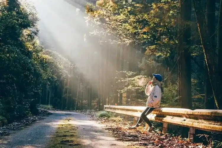 blingbling的阳光写真集治愈你的小确丧