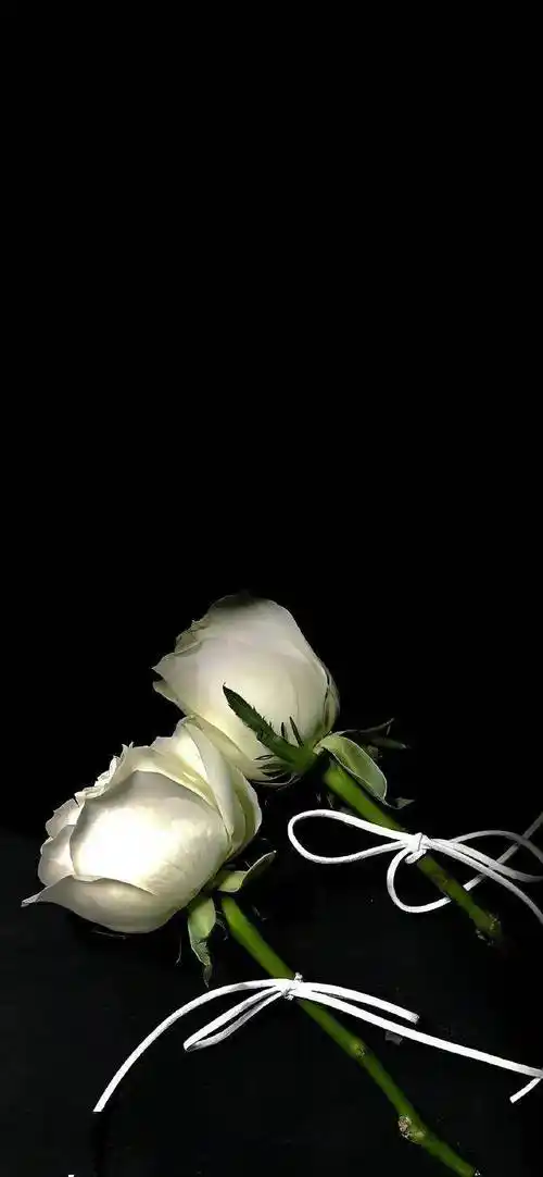 壁纸|很值得称赞的小众锁屏壁纸 676767