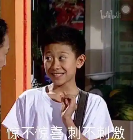 惊不惊喜刺不刺激(家有儿女刘星)_刘星_家有_儿女_惊喜_刺激表情