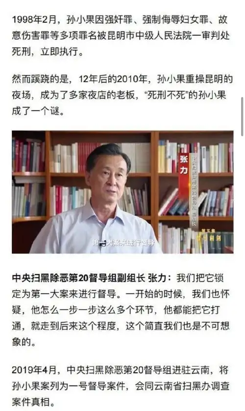 孙兴的原型是孙小果吧