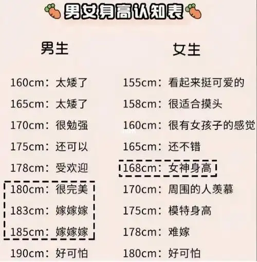 大学最受欢迎的女生身高表