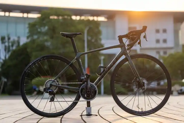 新手入门公路车