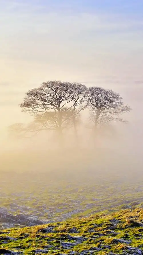 雾气环绕的唯美意境风景图片