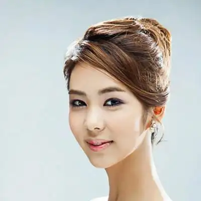 最新韩式新娘发型(经典盘发更唯美发型)