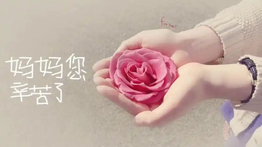 温馨五月天 感恩母亲节——北大青鸟幼儿园万科分园托二班开展《世间