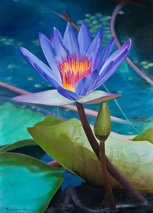 音画诗赏七彩莲花为您盛开