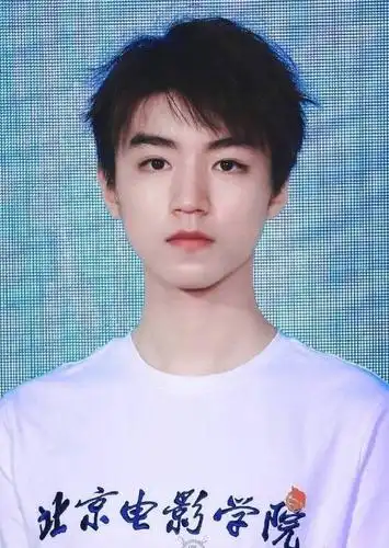 tfboys分享210613王俊凯粉丝制作证件照合集五官优越一脸正气