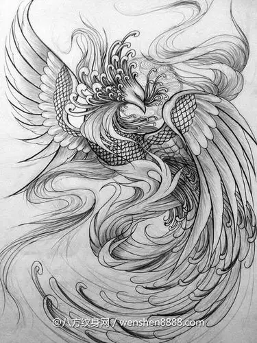 酒泉高尔夫教授的男生满背凤凰纹身手稿图案图片参照