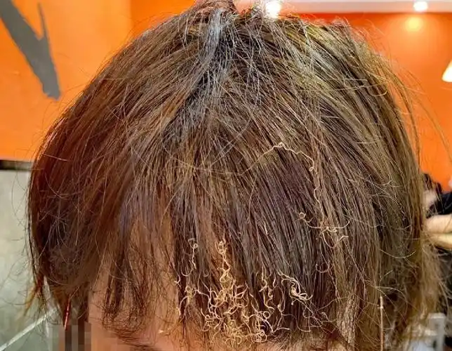 蚌埠住了74关于吃牛杂煲头发被撩这件事