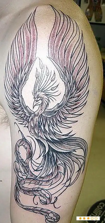 半背凤凰纹身图案的搜索结果_百度图片搜索