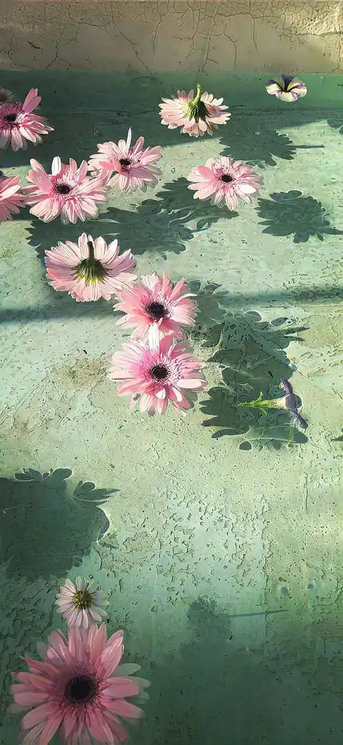 壁纸 | 一眼惊艳的锁屏壁纸 676767