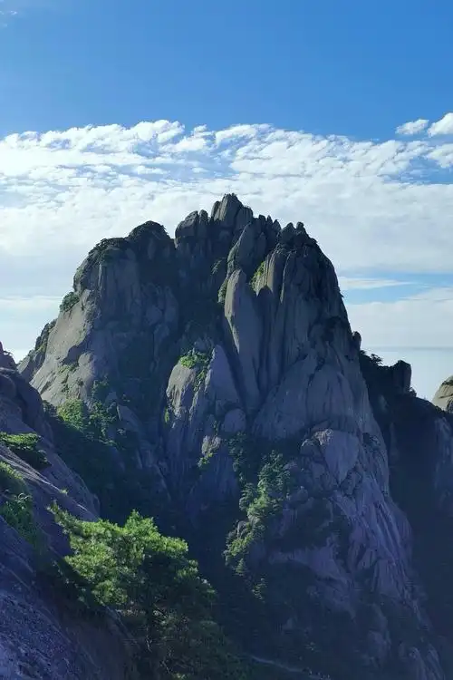 8米,是黄山第一高峰.