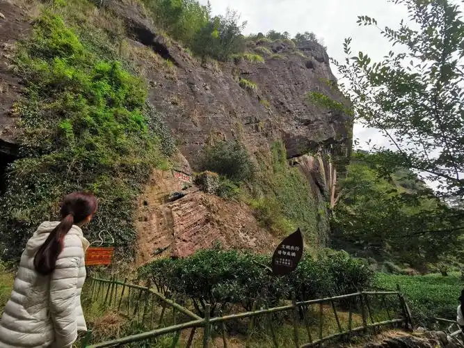 吃喝玩乐武夷山(下)