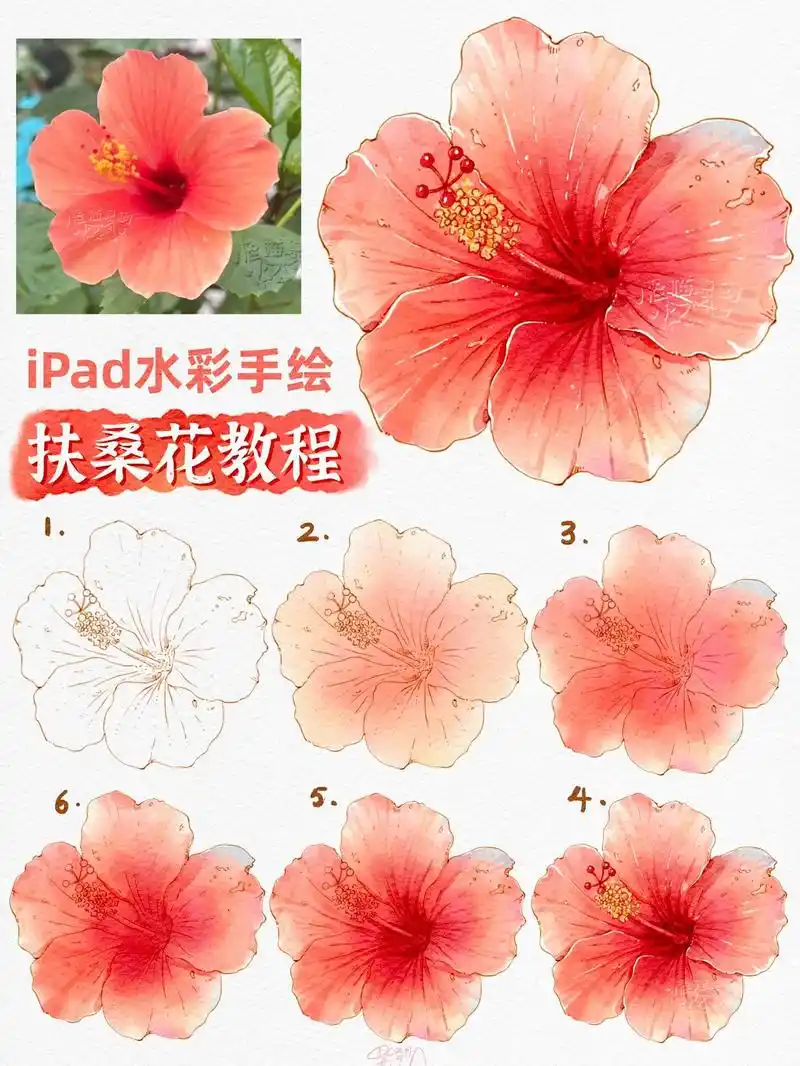 超简单!ipad水彩扶桑花96手绘教程.实用保姆级的proc - 抖音