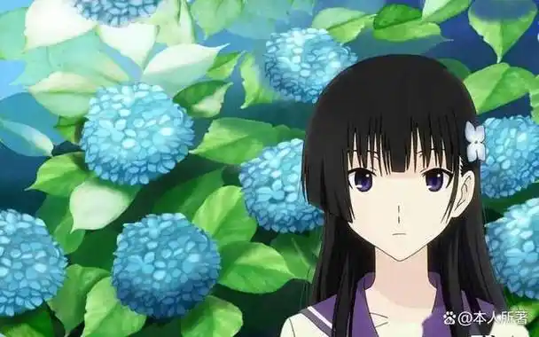 《紫阳花的凋零散落之时》动画有几集