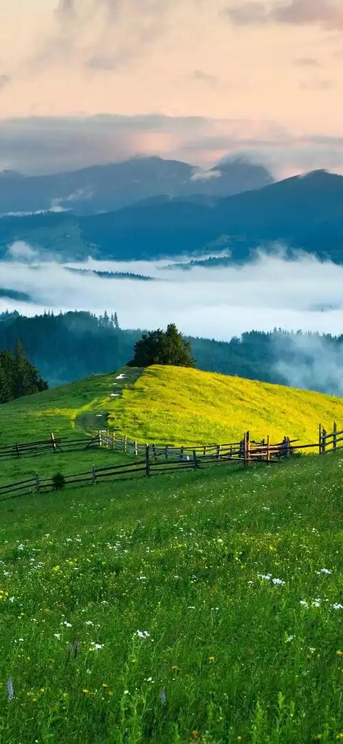 10张唯美风景高清手机壁纸!_网易订阅