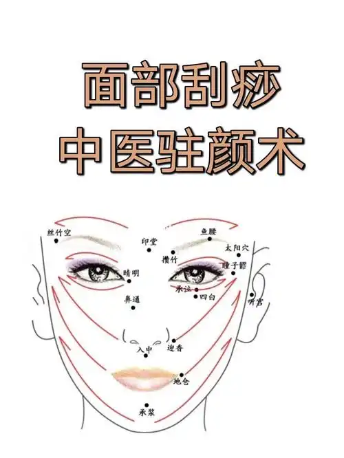 面部刮痧71中医驻颜术_刮痧_养生_中医_排毒养颜_美容养生_美容养颜