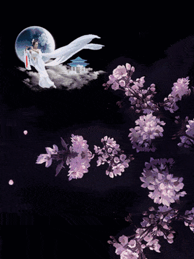 思君千里若明月(唯美动人)