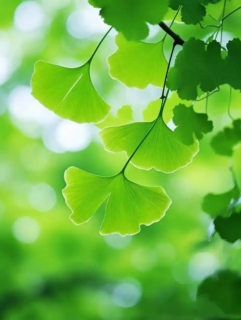 美图分享,适合做屏保,壁纸.