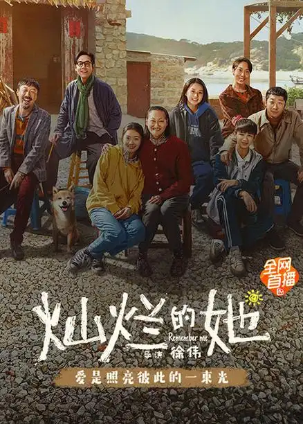 影评解读·电影速看