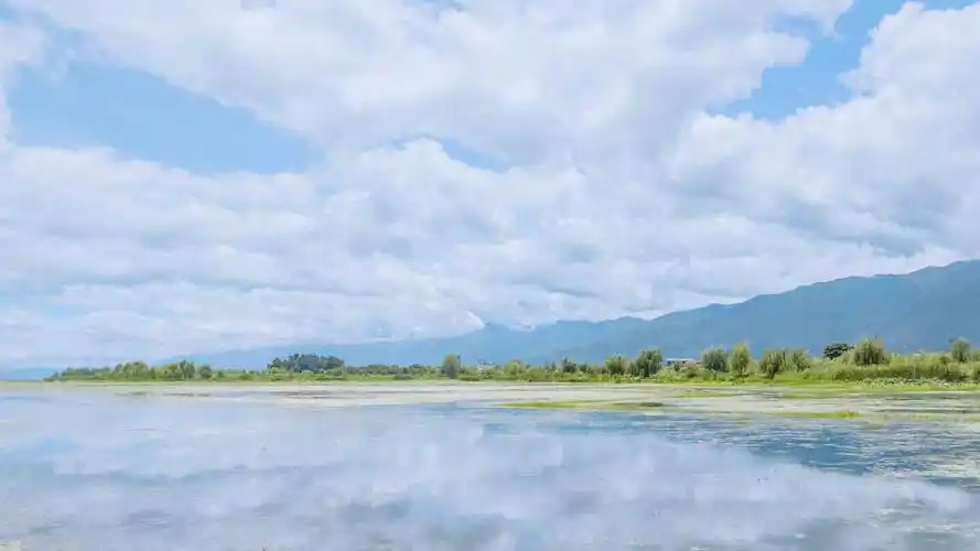 抖音最火2020背景图,高清图片,电脑桌面-壁纸族