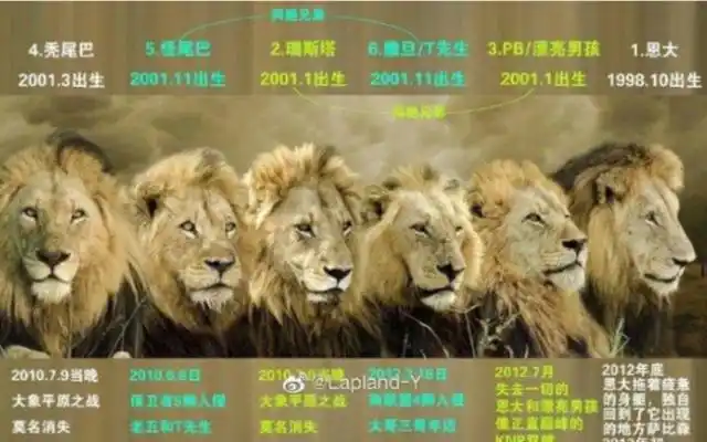 坏男孩雄狮联盟第一集