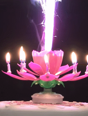 中国特色莲花蜡烛,已经征服了全世界