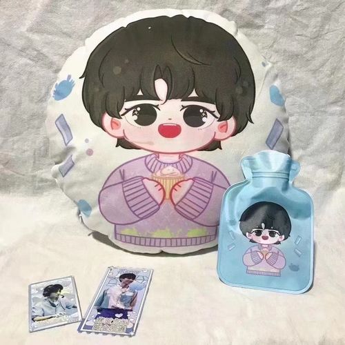 王俊凯q版双面圆形抱枕套装抱枕热水袋超软