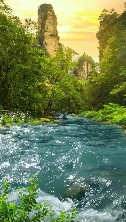 和我一起欣赏林间美景享受这山水间的片刻宁静风景聆听大自然山间小溪