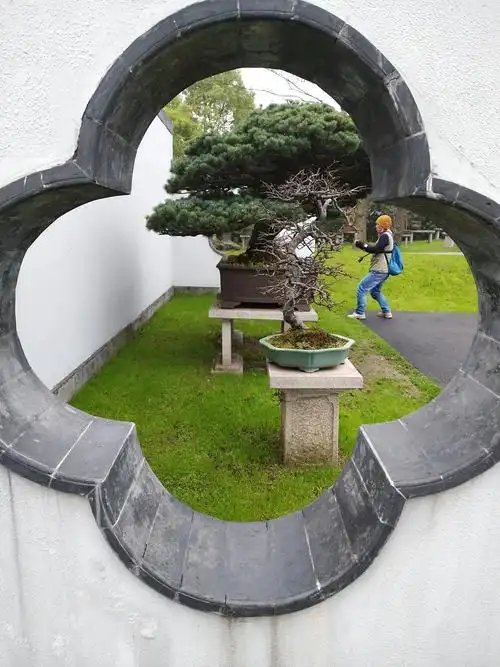 扬州瘦西湖盆景!