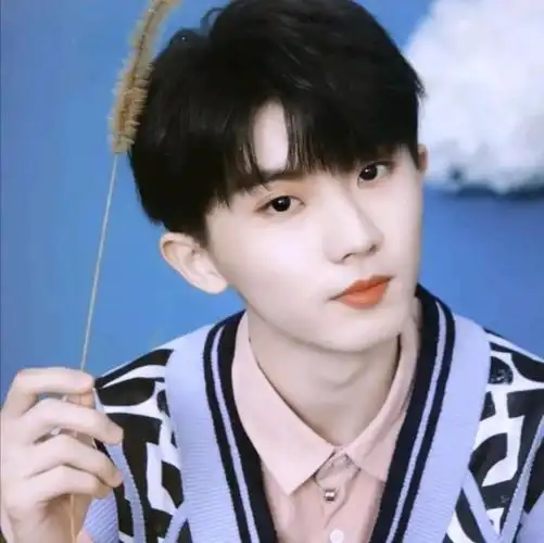 爱豆头像之tnt时代少年团