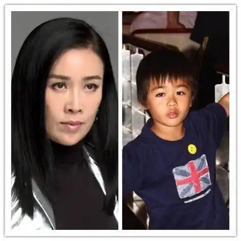 回顾那英爱过蔡国庆为爱未婚生子分手后带着男友儿子嫁给朋友