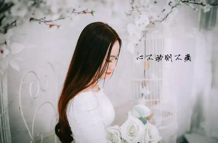 彻底死心了放弃的句子高清原图查看