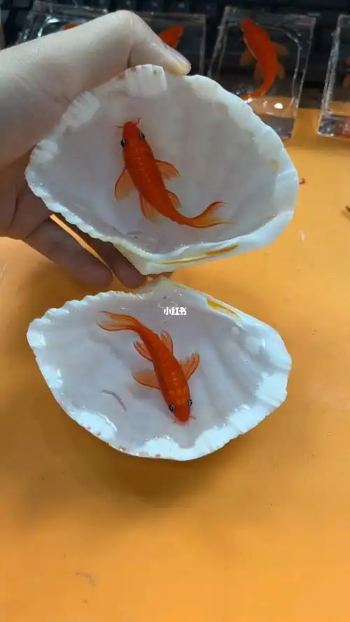 diy手工绘画教程贝壳