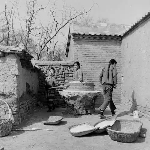 农村妇女在劳作走在田间的农夫正在播种的农夫正在田里犁地农夫,那