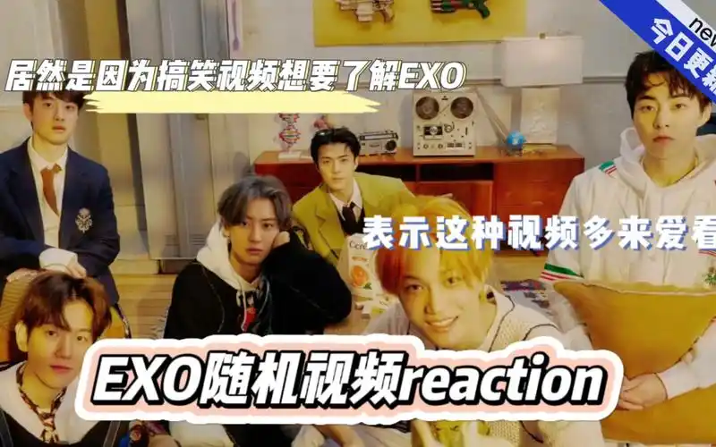 【exo路人粉reaction】居然是因为搞笑想要了解exo|真别把我笑死|搞笑
