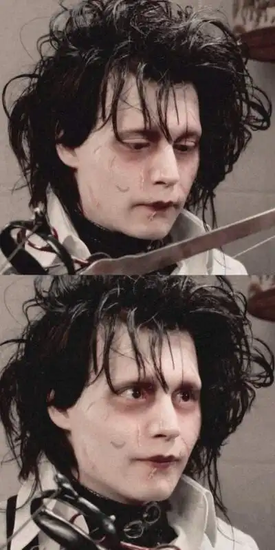 剪刀手爱德华书