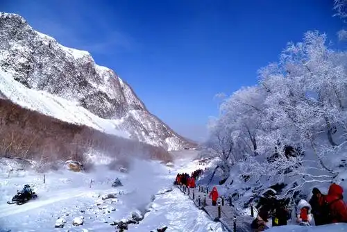 东北——一个值得留恋的地方