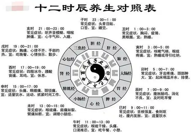 五脏对应时辰对照表,不同时辰保养相对的五脏(11点前睡觉很重要)