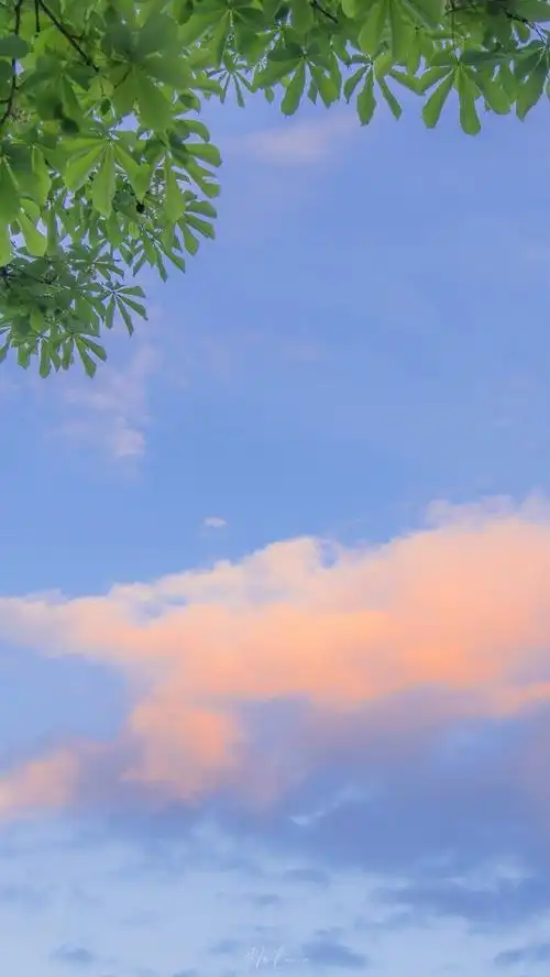 超级美的天空风景壁纸,蓝色系,深邃 唯美,阳光照进白云,透出金